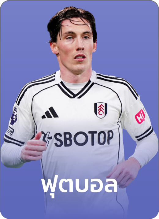 แทงบาล sbobet